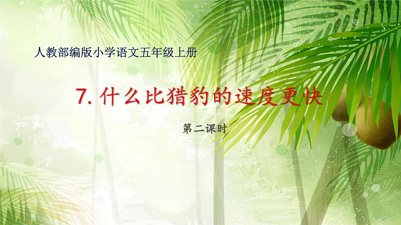 人教部编版语文五年级上册 7.什么比猎豹的速度更快 课件101