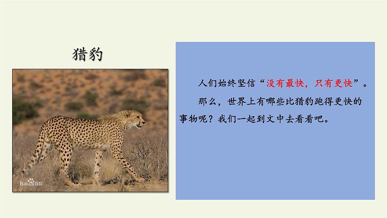 人教部编版语文五年级上册 7.什么比猎豹的速度更快 课件104
