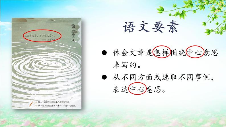 5.1《夏天里的成长》(第一课时)课件+教案+学习单02