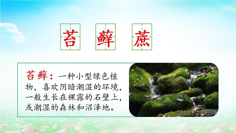 5.1《夏天里的成长》(第一课时)课件+教案+学习单08