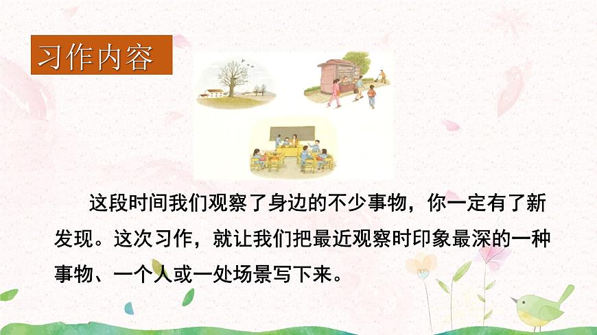 《習作：我們眼中的繽紛世界》課件第7頁