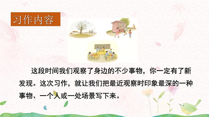 习作:我们眼中的缤纷世界课件+教案07