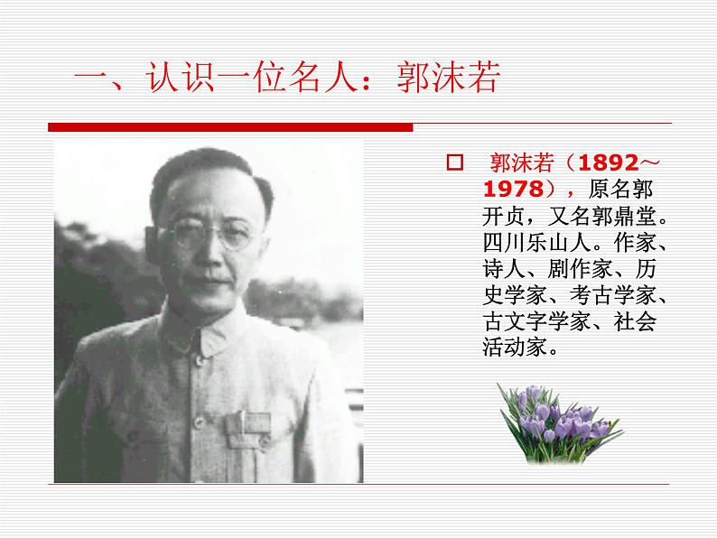 部编版五年级语文上册--1.白鹭-课件3第7页