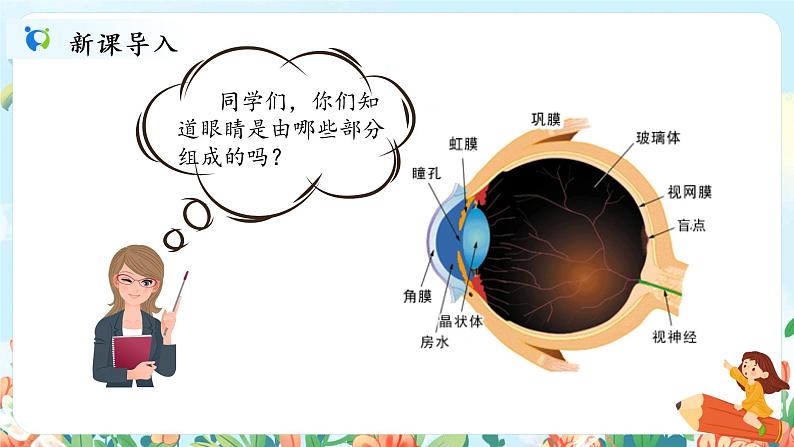 口语交际《爱护眼睛,保护视力》课件PPT+教案02
