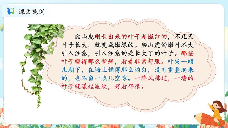 习作《写观察日记》课件PPT+教案04
