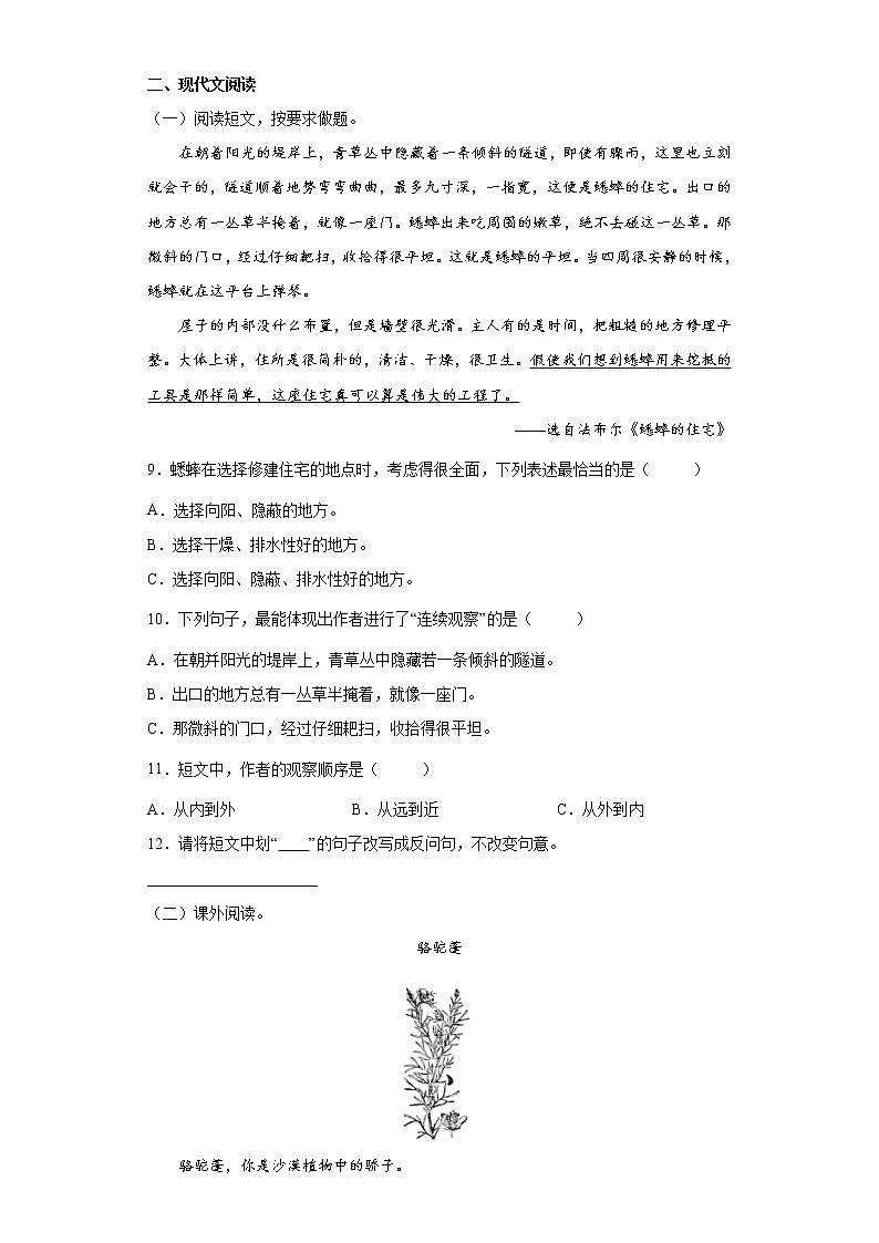 11《蟋蟀的住宅》课件(2课时)+教案+课时作业+课文朗读02