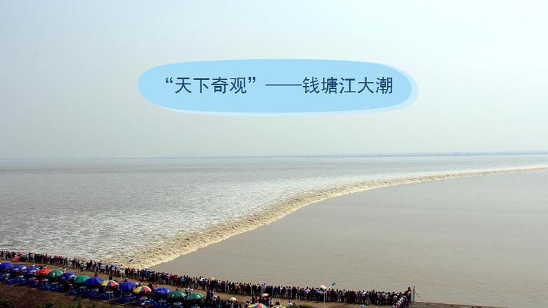 2022--2023学年部编版四年级语文上册--1《观潮》(课件+教案)05