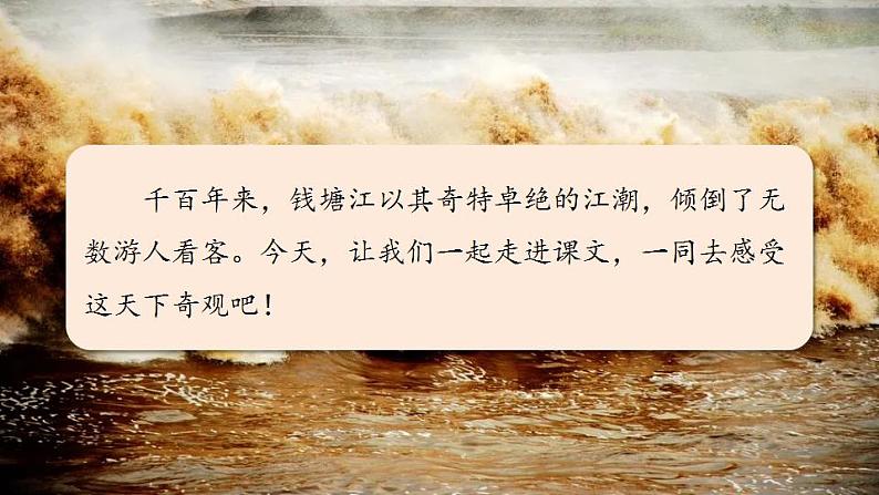 2022--2023学年部编版四年级语文上册--1《观潮》(课件+教案)07