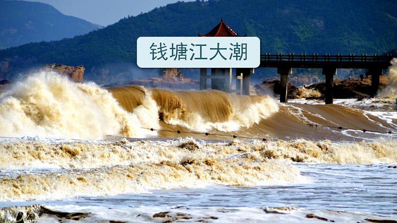 2022--2023学年部编版四年级语文上册--1《观潮》(课件+教案)08