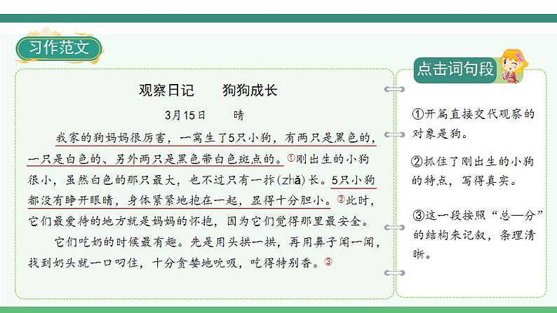 《习作三:写观察日记》第7页