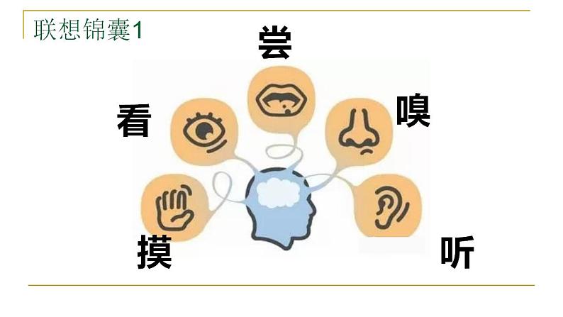 人教部编版语文六年级上册1.草原 课件1第3页