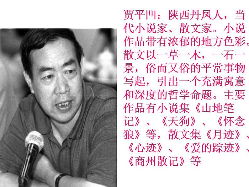 部编版五年级语文上册--24.月迹-课件2第8页