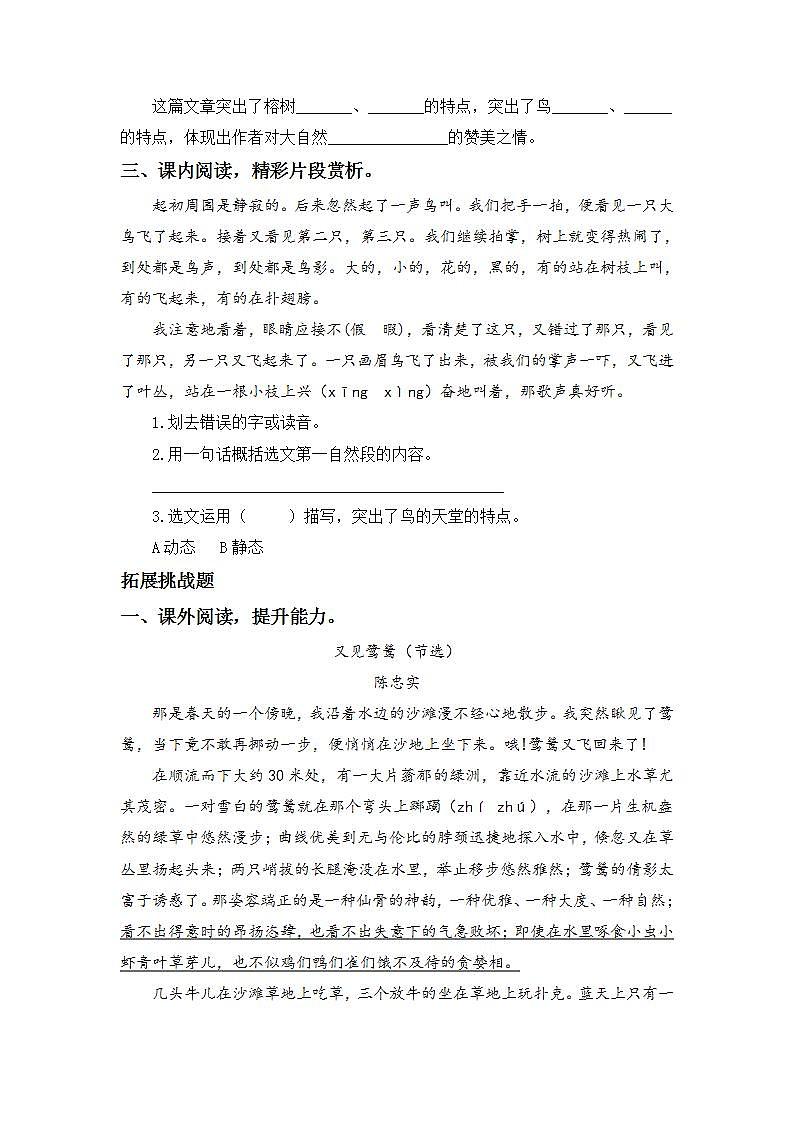 7.23鸟的天堂-5上语文(部编版)同步课时分层课时练02