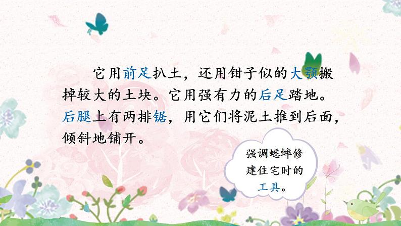 语文园地三 部编版语文四年级上册课件+教案+习题08