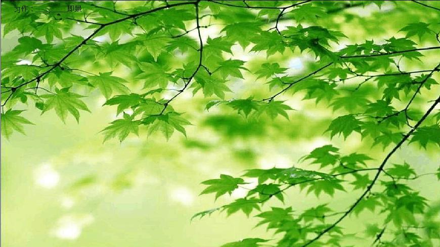部編版五年級語文上冊--習(xí)作:____即景-課件4第6頁