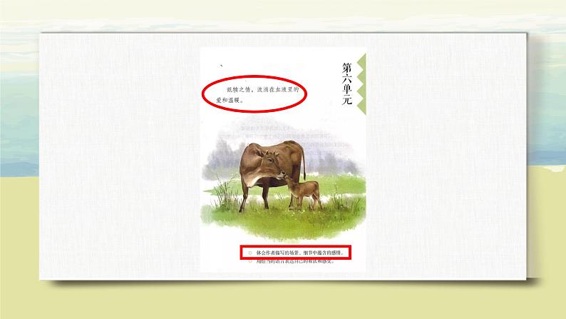 第六单元《语文园地》课件+教案02