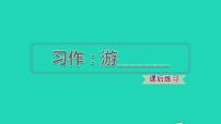 人教部编版四年级下册习作：游____习题ppt课件