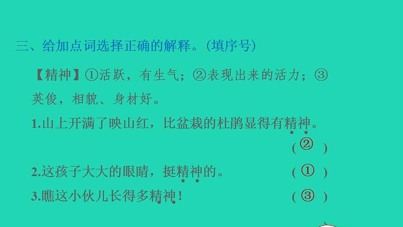 2022四年级语文下册第5单元第17课记金华的双龙洞习题课件新人教版05