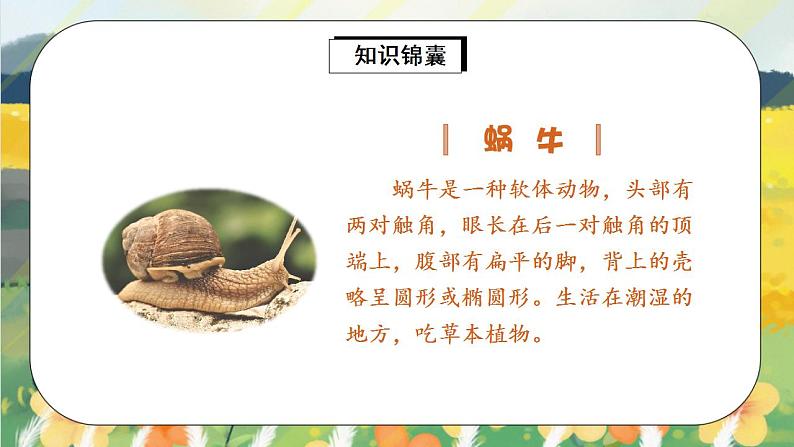 课文14《小蜗牛》课件PPT+生字课件+教案+练习+音视频素材05