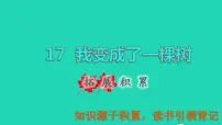 2021学年17 我变成了一棵树集体备课课件ppt