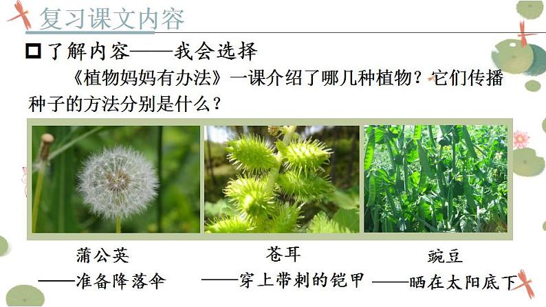 部编版二上语文期末专题复习 4-3 温故知新(课文回顾——了解内容 理解句子) 课件第3页