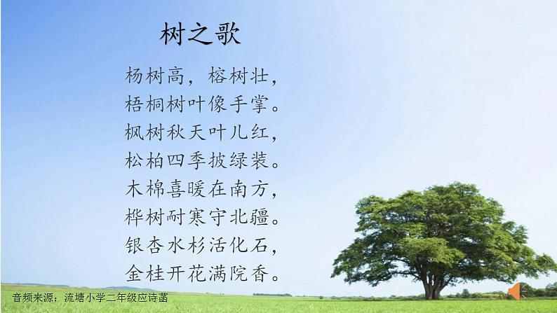 小学语文 部编版 二年级 14《树之歌》(第二课时) 课件第3页