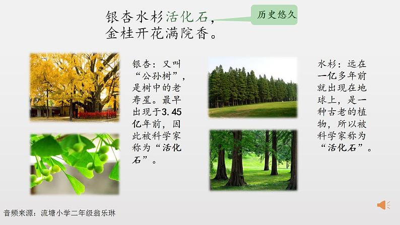 小学语文 部编版 二年级 14《树之歌》(第二课时) 课件第6页