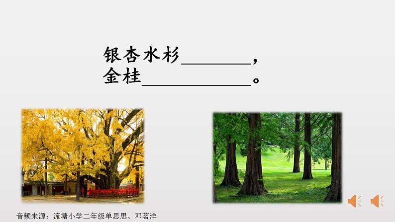 小学语文 部编版 二年级 14《树之歌》(第二课时) 课件第8页