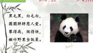 小学人教部编版 (五四制)习作：国宝大熊猫图片ppt课件