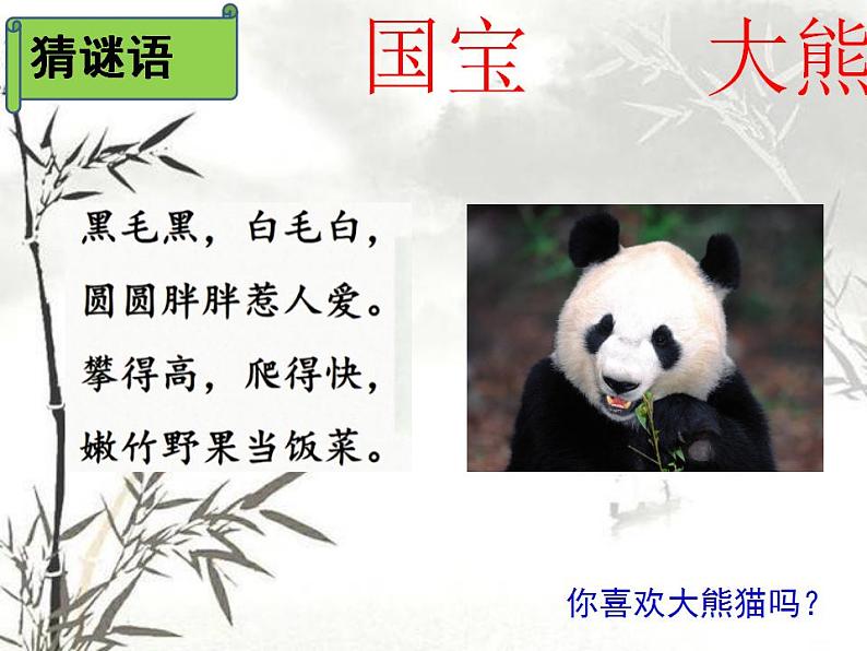 人教部编版(五四制)语文三年级下册习作:国宝大熊猫(课件)01