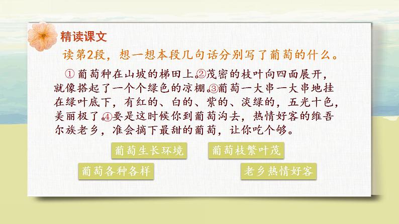 部编版语文二年级上册《葡萄沟》第二课时PPT课件第8页