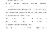 四年级语文上册第七单元 单元测试卷（无答案）