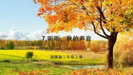 部编版三年级上册语文 7.听听，秋的声音 课件