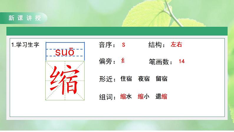 人教部编版语文六上第五单元《17 盼》教学课件第7页