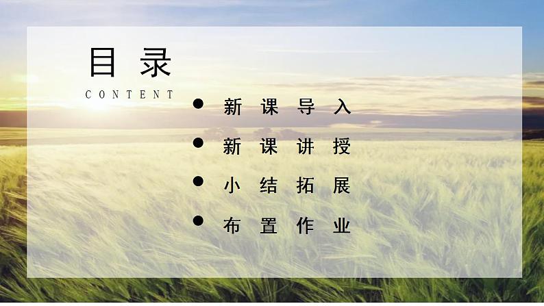 16 夏天里的成长课件+教案02