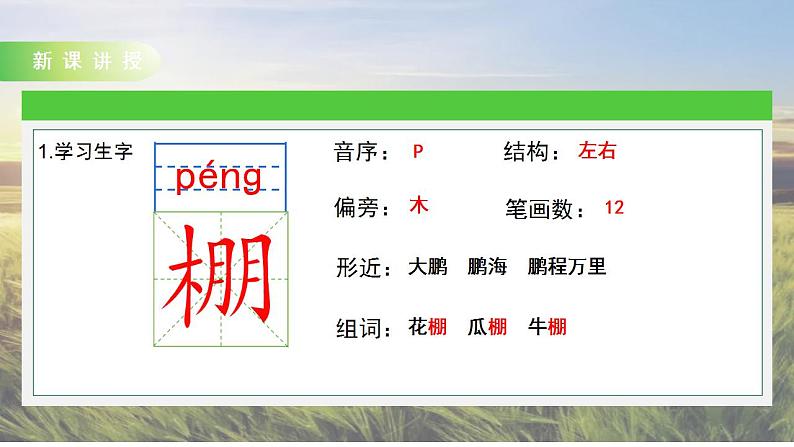 16 夏天里的成长课件+教案08
