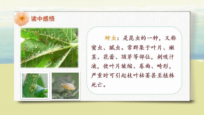 部編版語(yǔ)文二年級(jí)上冊(cè)《我要的是葫蘆》第二課時(shí)PPT課件第8頁(yè)
