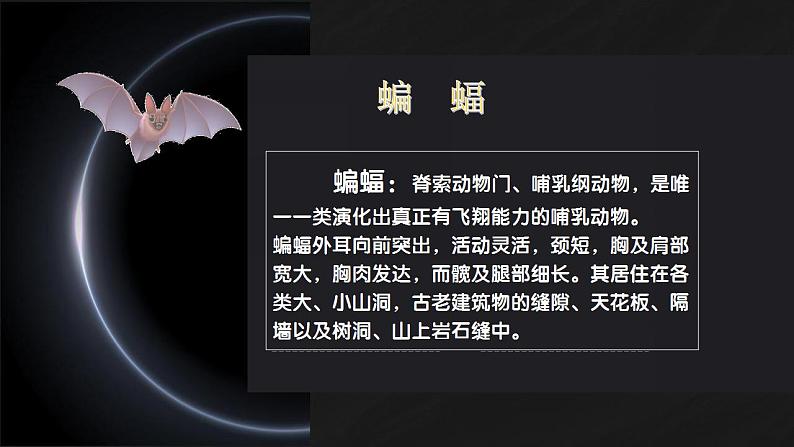 【同步课件】6.夜间飞行的秘密(课件)四年级语文上册02