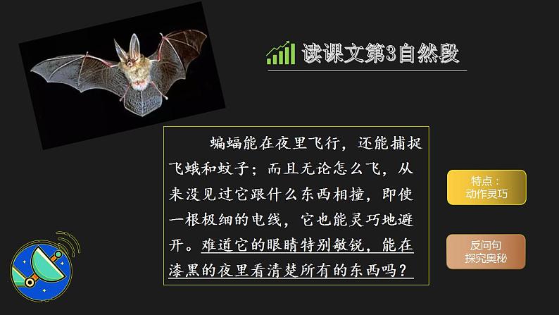 【同步课件】6.夜间飞行的秘密(课件)四年级语文上册08