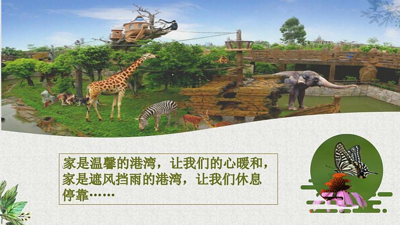 【同步课件】8.蝴蝶的家(课件)四年级语文上册02