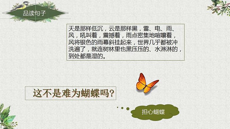 【同步课件】8.蝴蝶的家(课件)四年级语文上册07