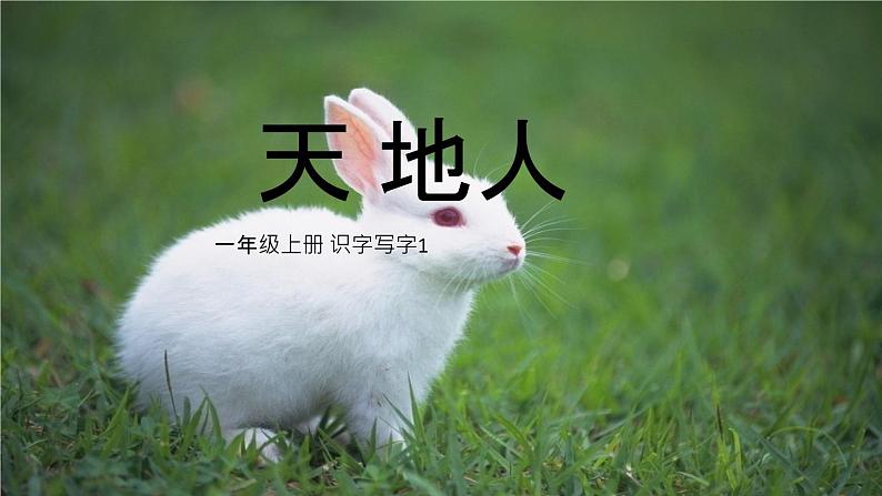 一年级语文上册教学课件-4 d t n l(3)-部编版(共18张PPT)第1页