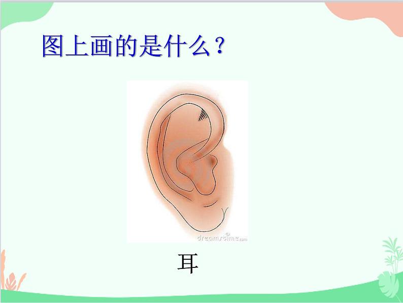 部编版语文一年级上册3 口耳目 课件5第8页