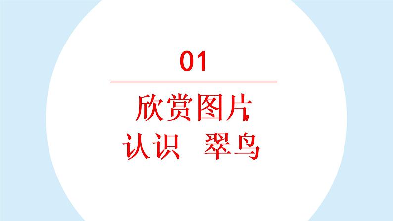 搭船的鸟课件 部编版语文三年级上册06