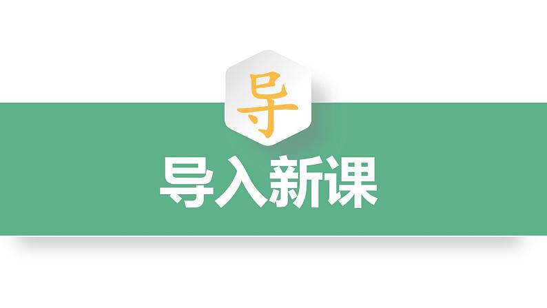 1.1《白鹭》课件02