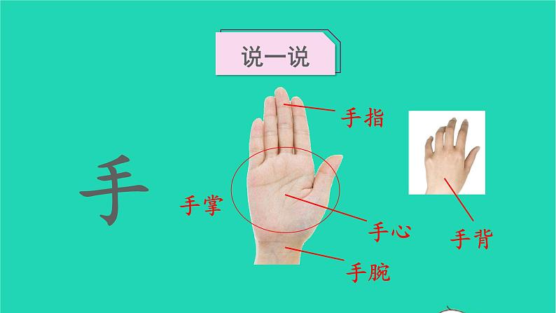 2022一年级语文上册第一单元识字3口耳目教学课件新人教版05