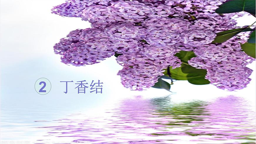 （教學(xué)課件）2.丁香結(jié)第4頁