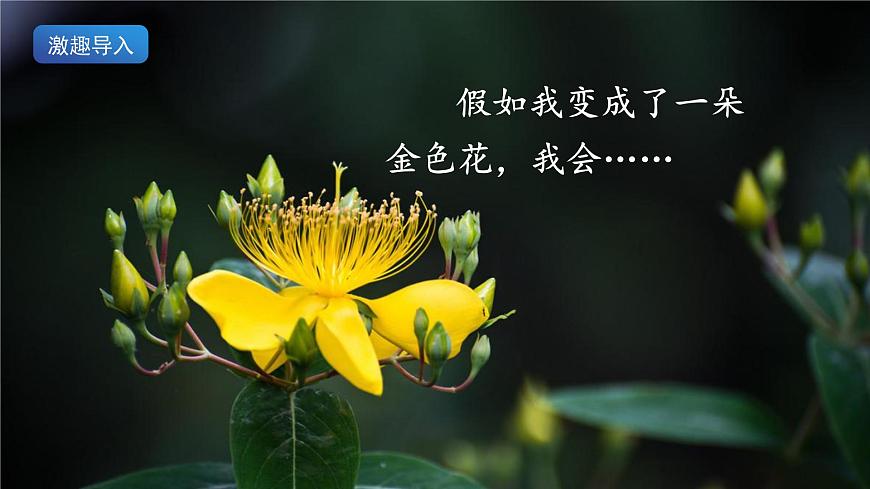 2《花的學(xué)?！氛n件第5頁