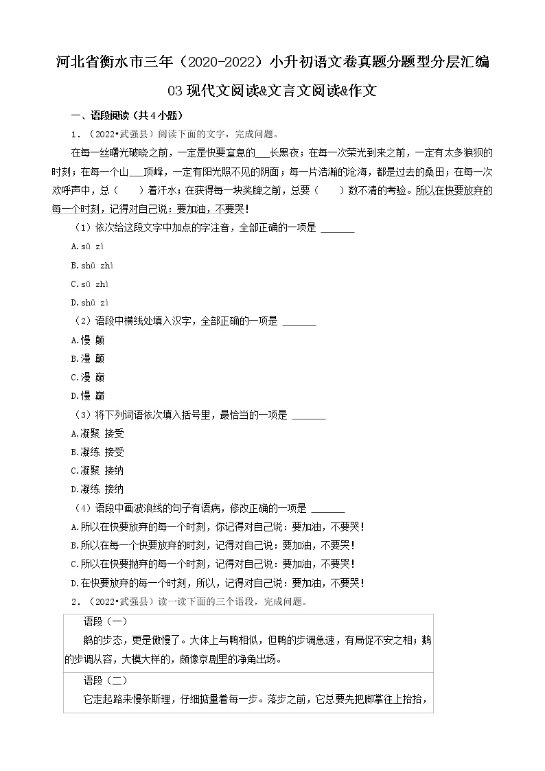 河北省衡水市三年（2020-2022）小升初语文卷真题分题型分层汇编-03现代文阅读&文言文阅读&作文