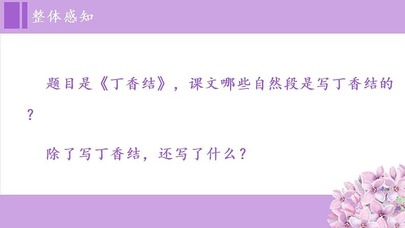 【同步备课】2.丁香结(课件)六年级语文上册部编版第4页